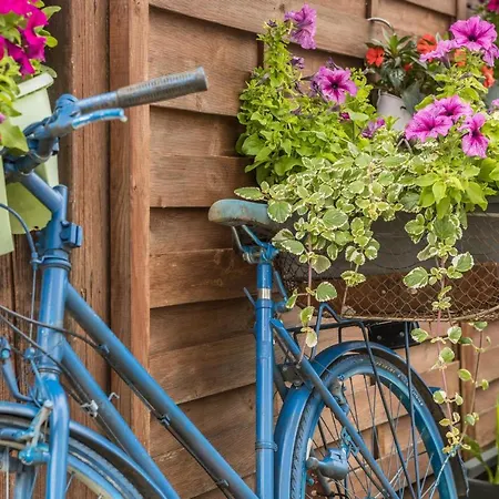 Sauter Meersburg * Neukirch (Tubingen)